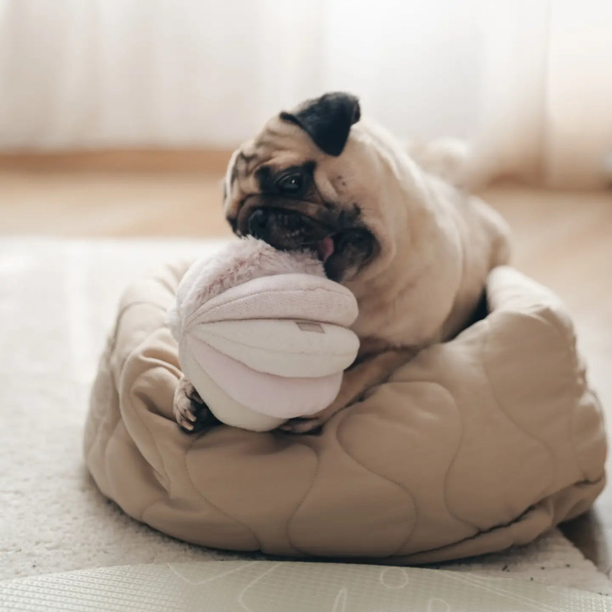 Toto Enrichment Dog Toy Ball