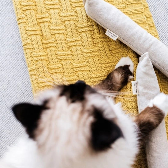 Cat Kicker Toy with Catnip