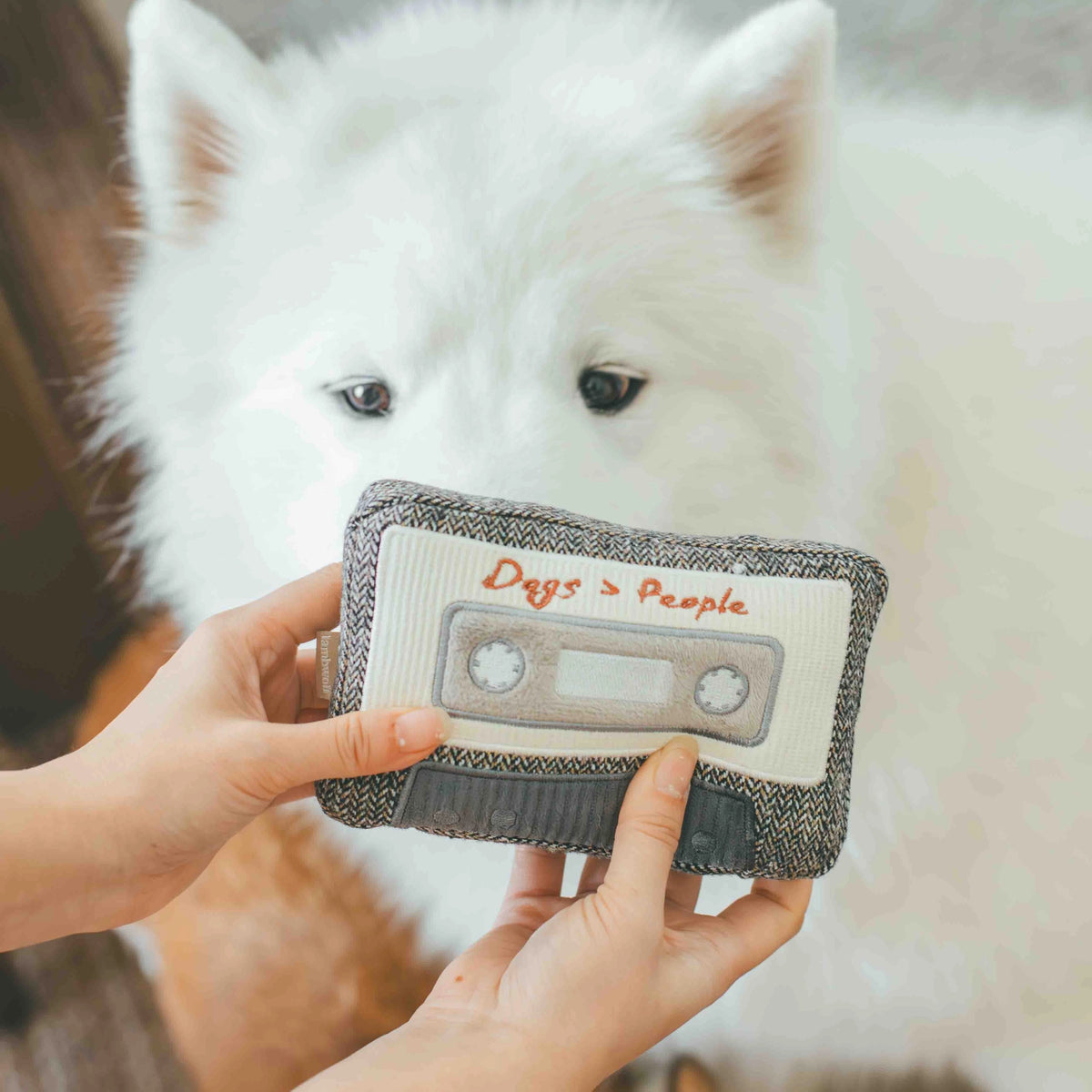 Cassette Enrichment Dog Toy