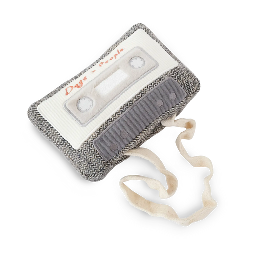 Cassette Enrichment Dog Toy