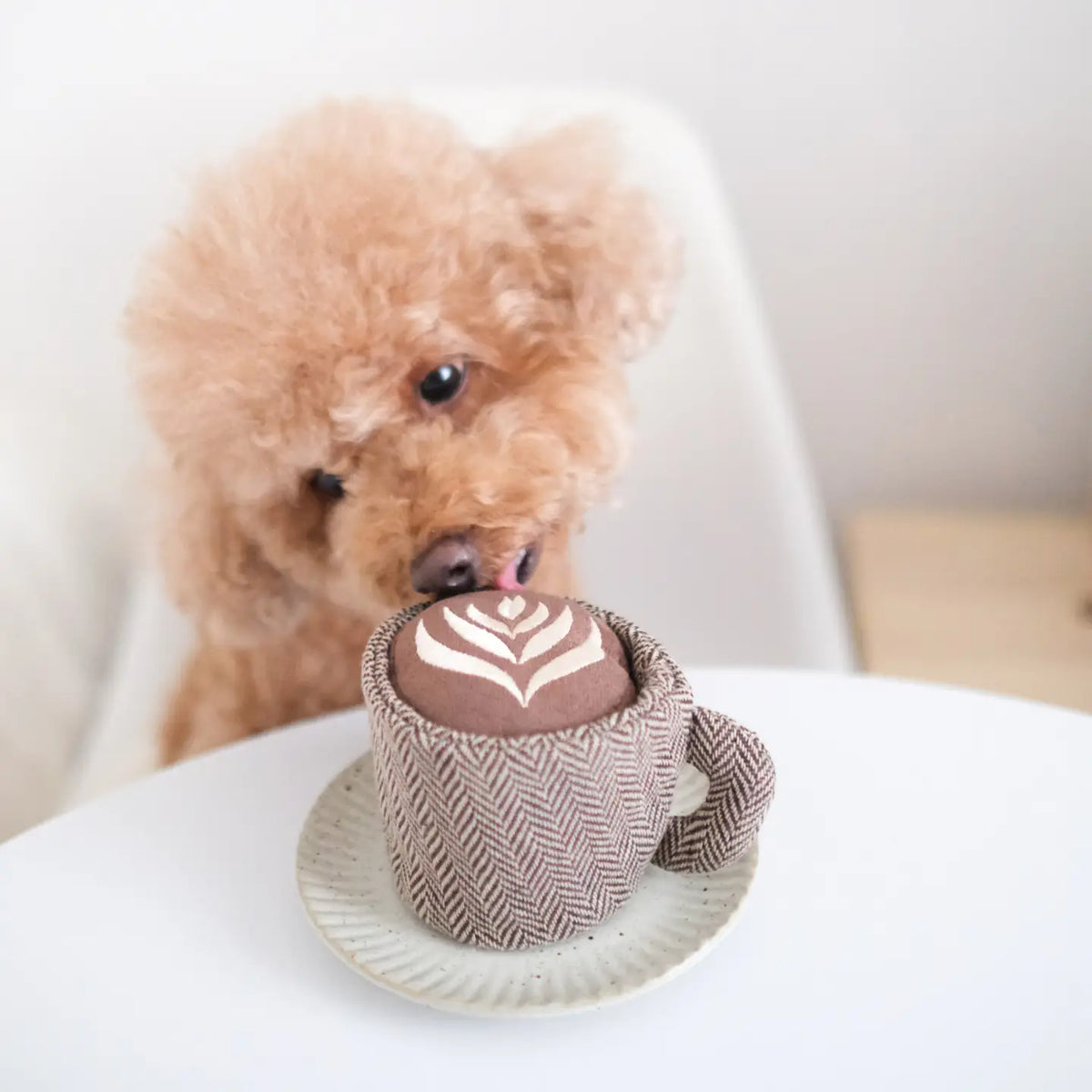 Latte Pop Enrichment Dog Toy