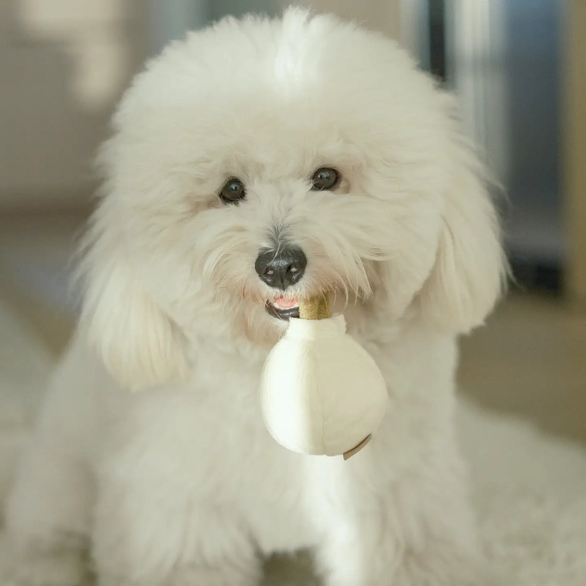 Garlic Pop Enrichment Dog Toy