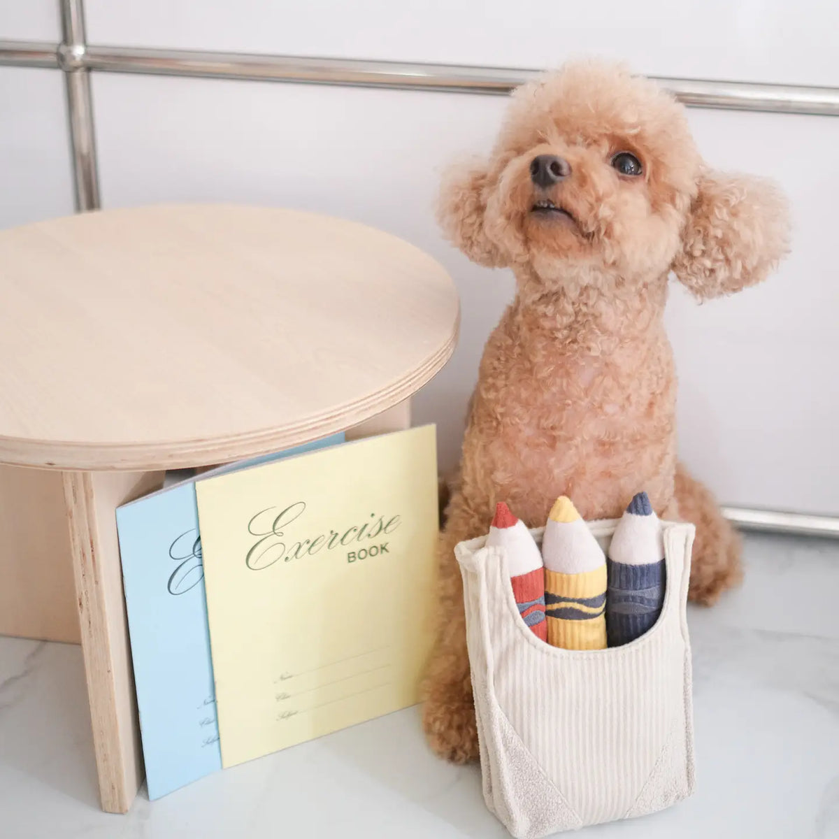 Crayons Enrichment Dog Toy