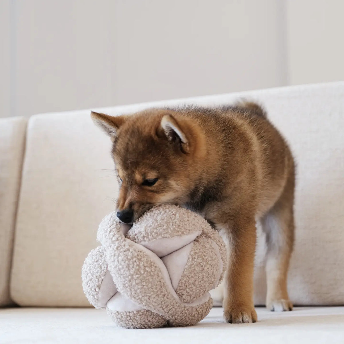 Monti Enrichment Dog Snuffle Toy