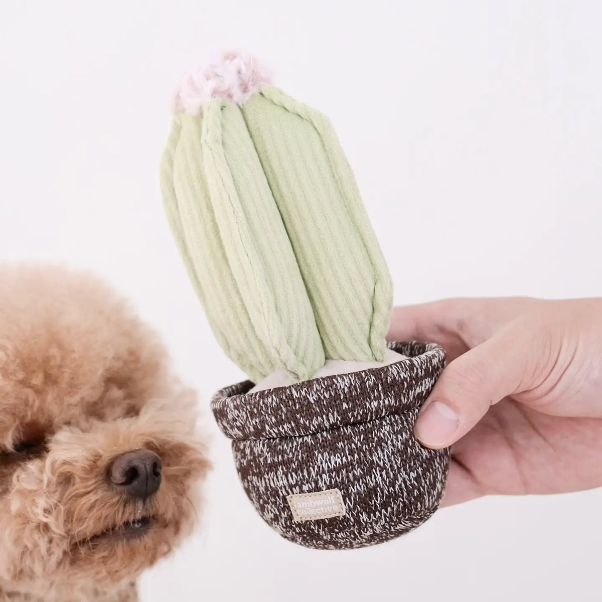Cactus Enrichment Dog Toy