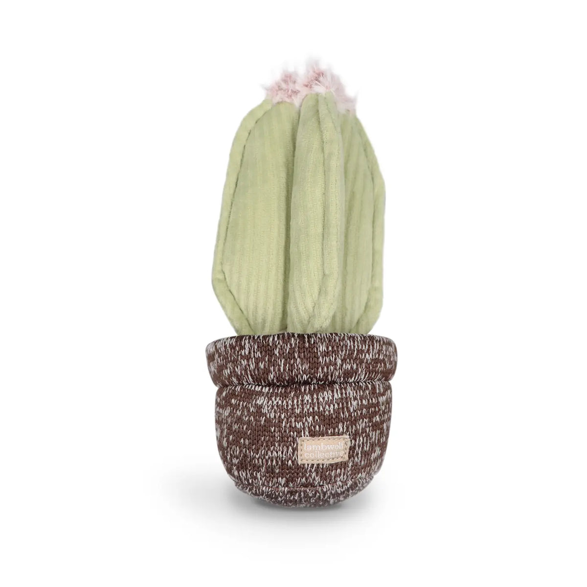 Cactus Enrichment Dog Toy