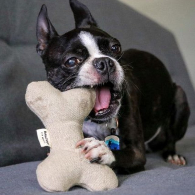Soft Plush Dog Bone Toy For Gentle Chewers