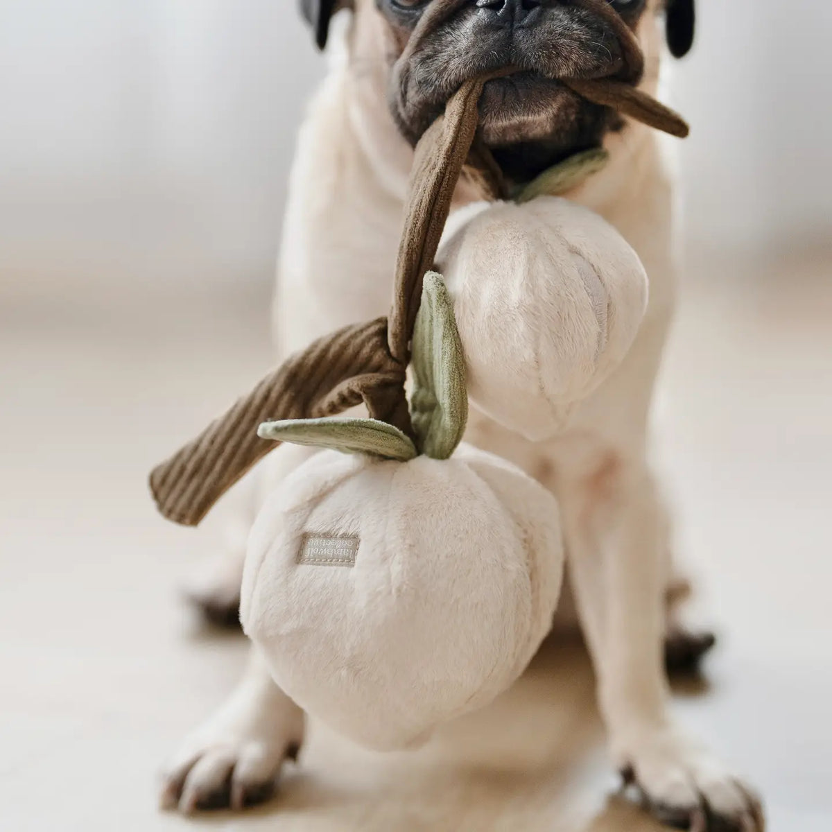 Momo Enrichment Dog Toy