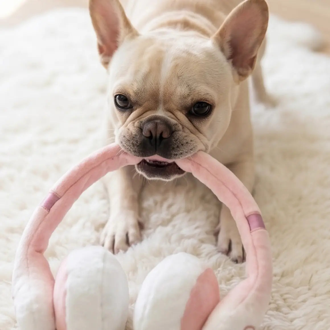Barks Headphones Toy