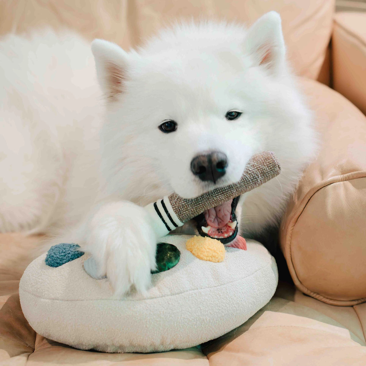 Color Palette, Enrichment Dog Toy