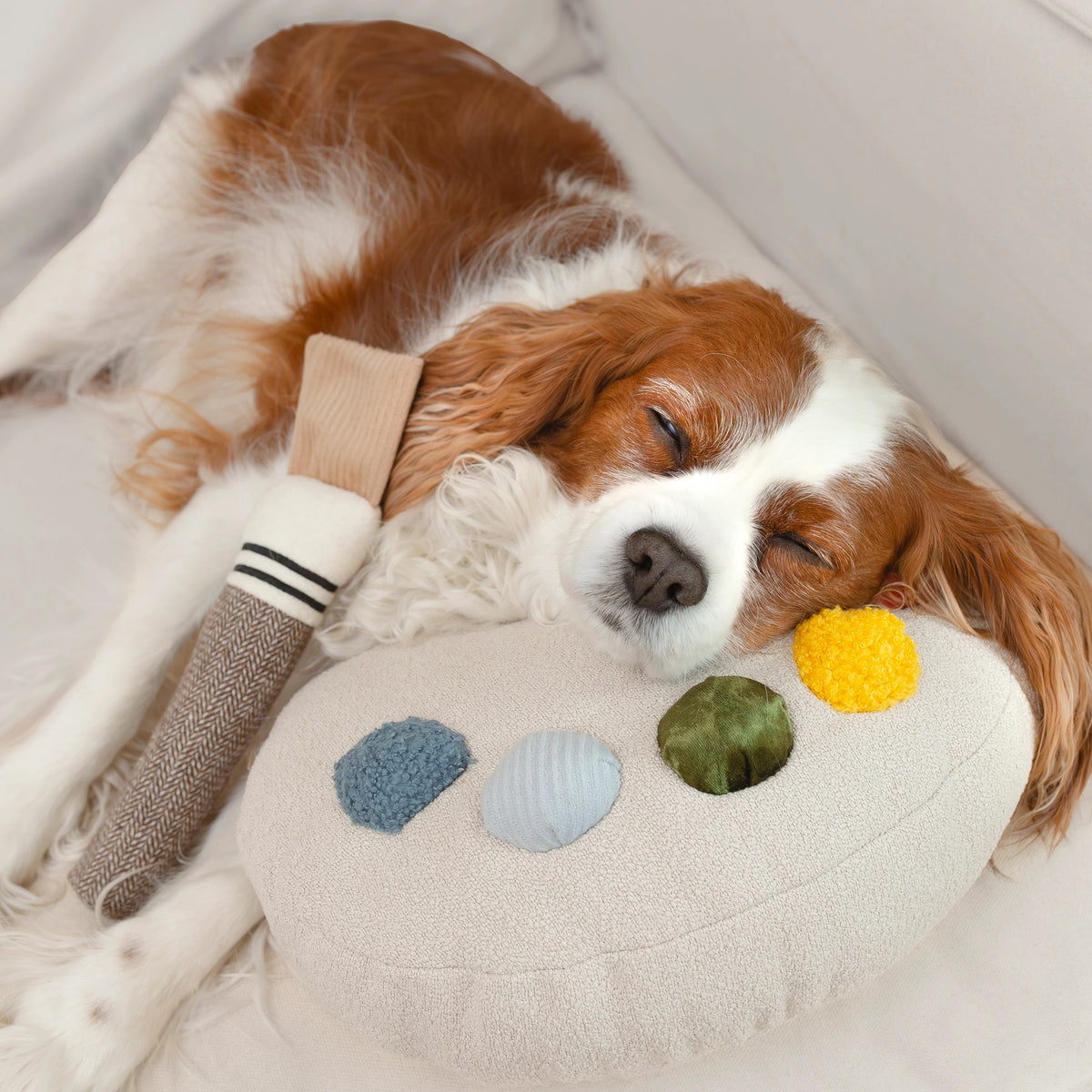 Color Palette, Enrichment Dog Toy