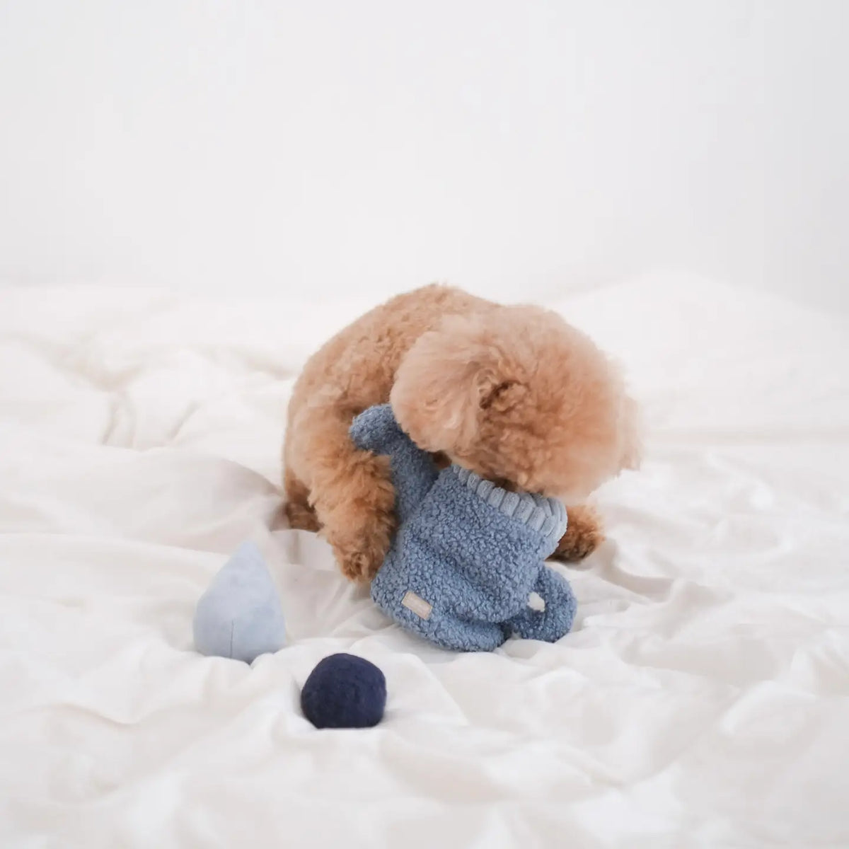 Watering Can Enrichment Dog Toy
